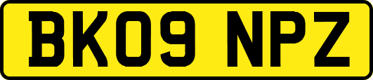 BK09NPZ