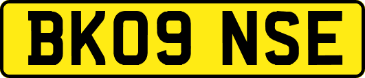 BK09NSE