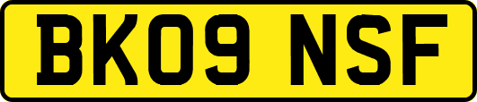 BK09NSF