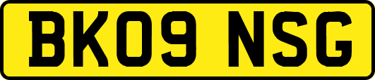 BK09NSG