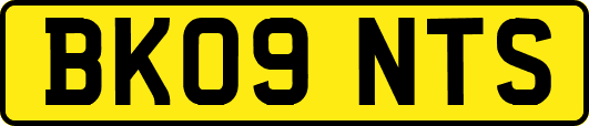 BK09NTS