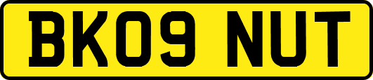BK09NUT