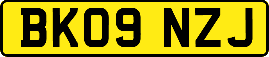 BK09NZJ