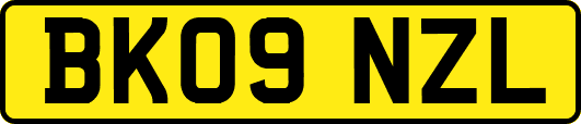 BK09NZL