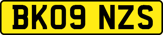 BK09NZS
