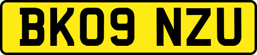 BK09NZU
