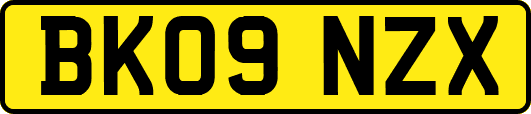 BK09NZX