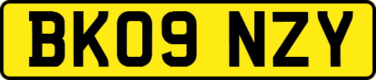BK09NZY