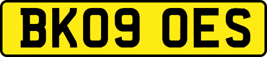 BK09OES
