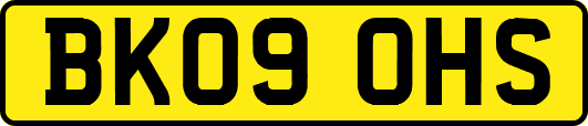 BK09OHS