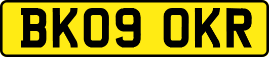 BK09OKR