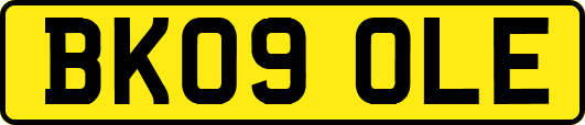 BK09OLE