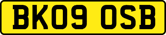 BK09OSB
