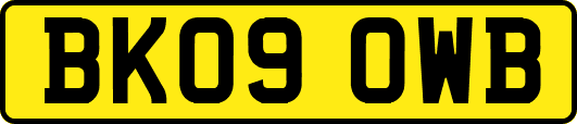 BK09OWB