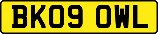BK09OWL