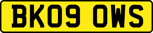 BK09OWS