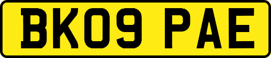 BK09PAE