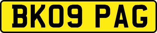 BK09PAG