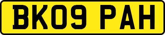 BK09PAH