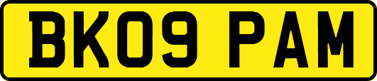 BK09PAM