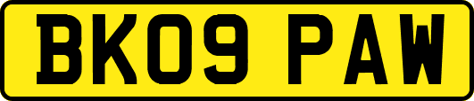 BK09PAW