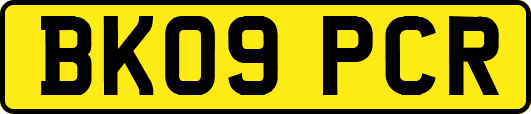 BK09PCR