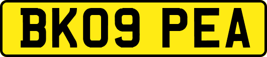 BK09PEA
