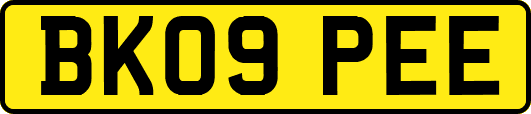 BK09PEE