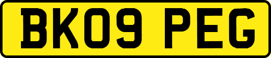 BK09PEG