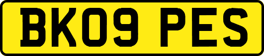 BK09PES