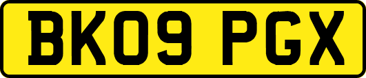BK09PGX