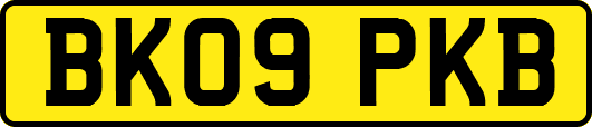 BK09PKB