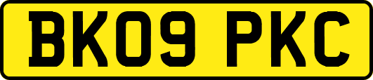 BK09PKC