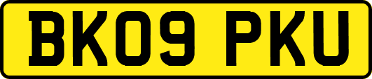BK09PKU