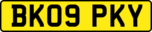 BK09PKY