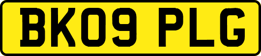 BK09PLG