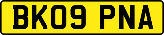 BK09PNA