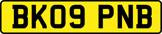 BK09PNB
