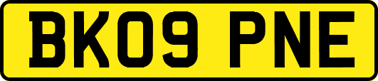 BK09PNE