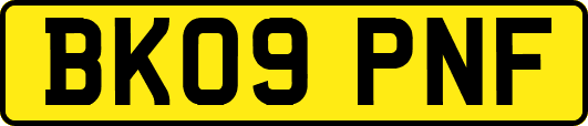 BK09PNF