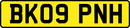 BK09PNH