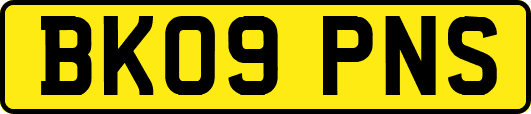 BK09PNS