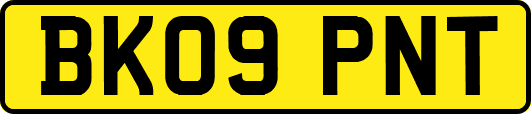 BK09PNT