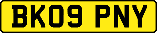 BK09PNY