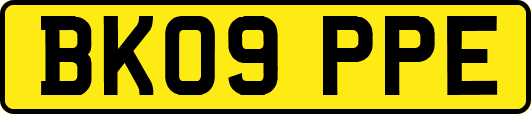 BK09PPE