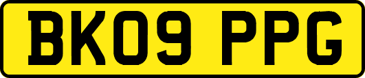BK09PPG