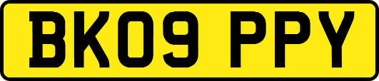 BK09PPY