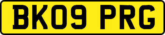 BK09PRG