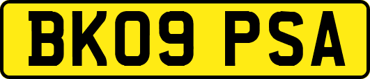 BK09PSA