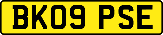 BK09PSE